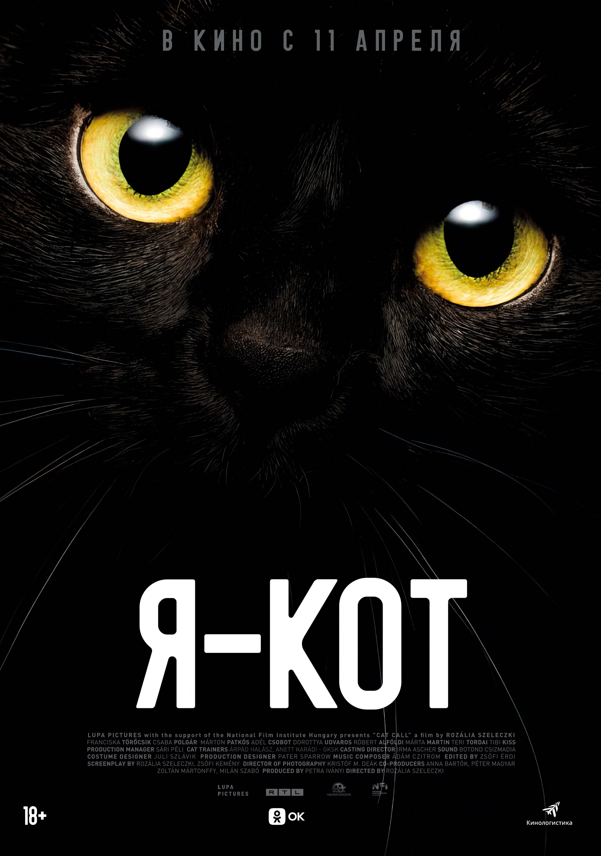 Я — кот